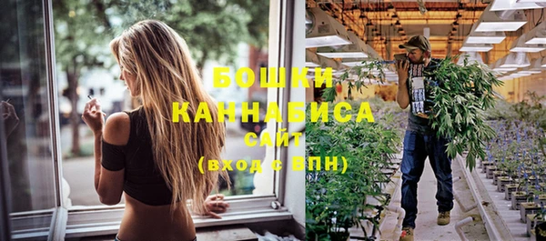 стафф Кодинск