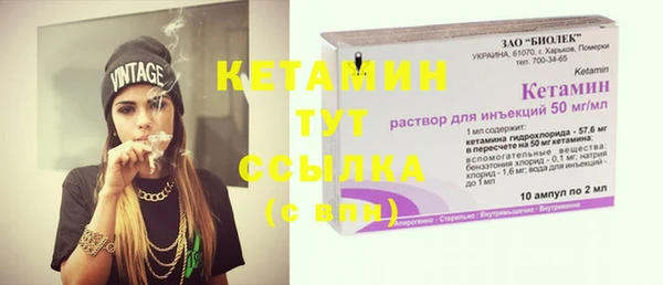 стафф Кодинск