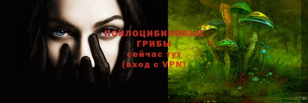 круглые Козловка