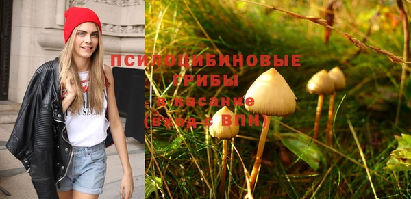 круглые Козловка
