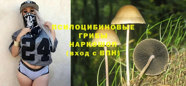 стафф Кодинск