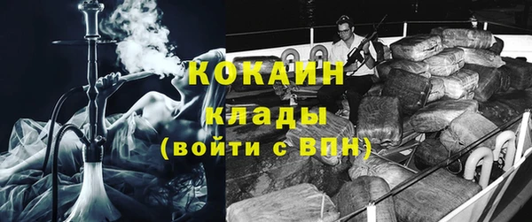 стафф Кодинск