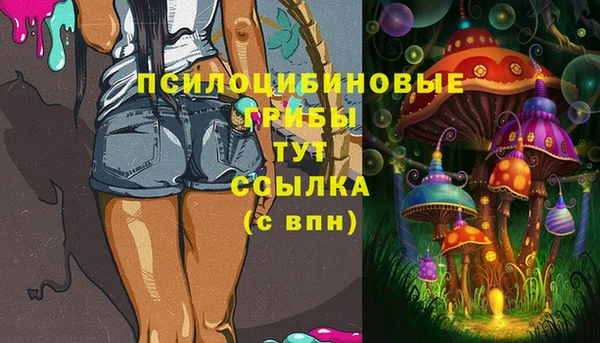 стафф Кодинск