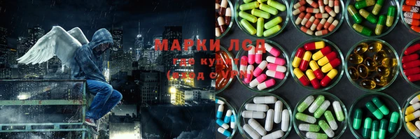 стафф Кодинск