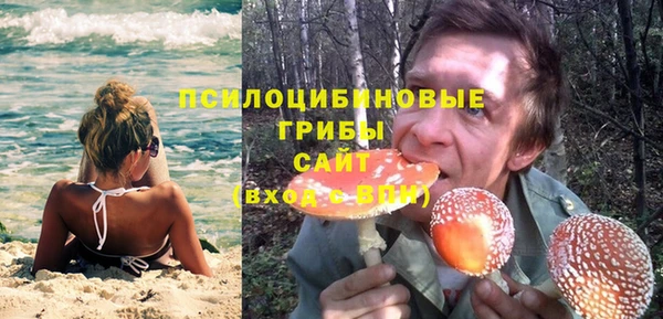 круглые Козловка