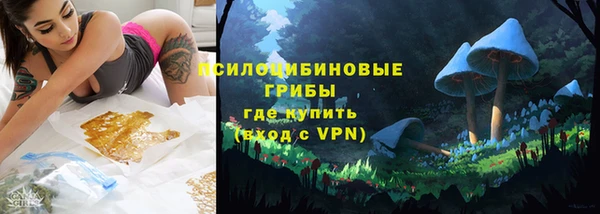 стафф Кодинск
