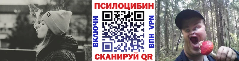 Купить где  Ишим  Галлюциногенные грибы прущие грибы 